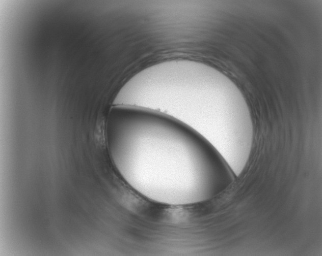 X0000068850425200605121414