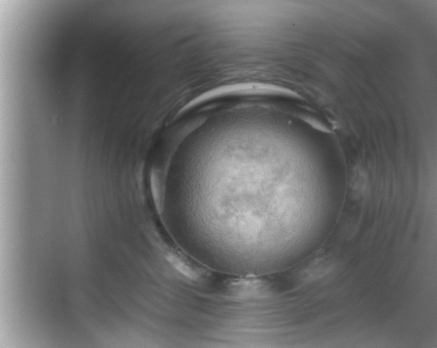 X0000068850428200605121414