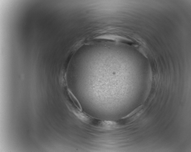 X0000068850429200605121414