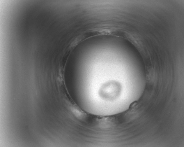 X0000068850430200605121414