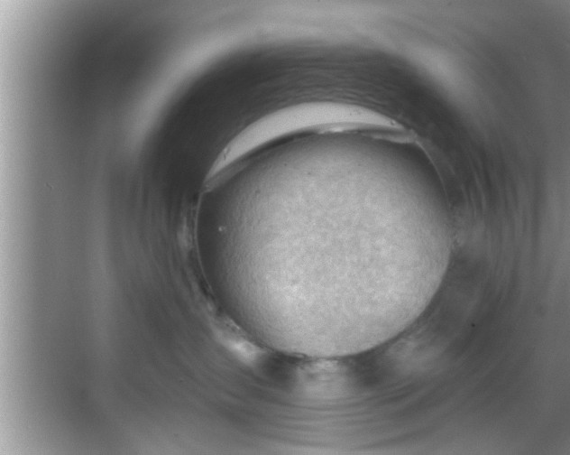 X0000068850431200605121414