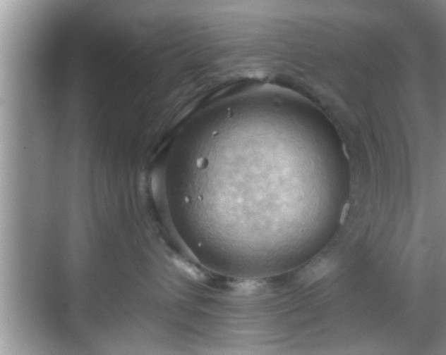 X0000068850432200605121414