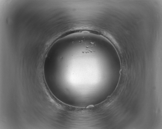 X0000068850433200605121413