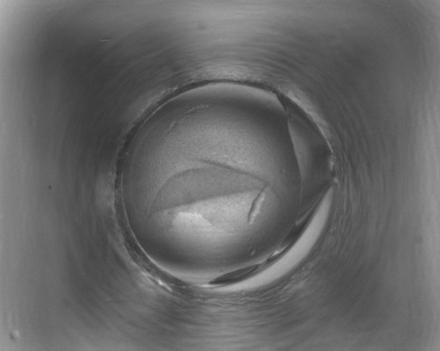 X0000068850434200605121413