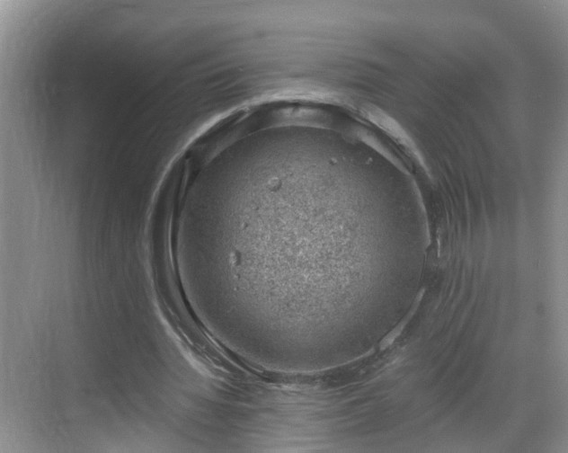 X0000068850436200605121413