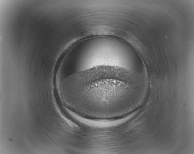 X0000068850438200605121413