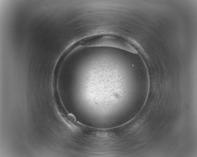 X0000068850439200605121413