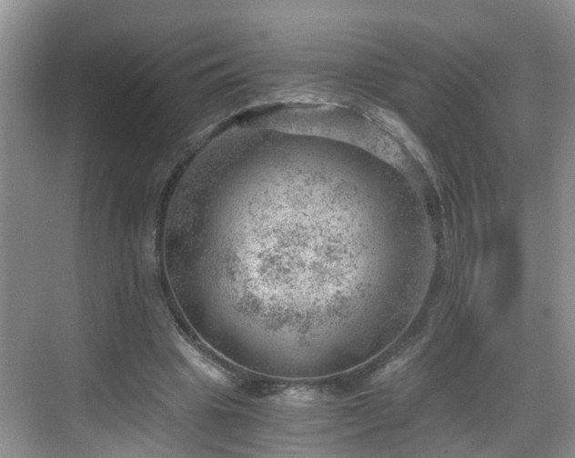 X0000068850441200605121413