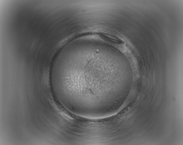 X0000068850442200605121413