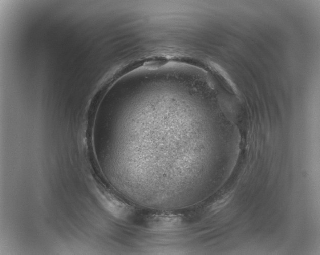 X0000068850443200605121413