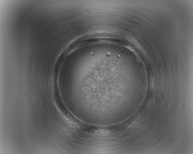 X0000068850444200605121413