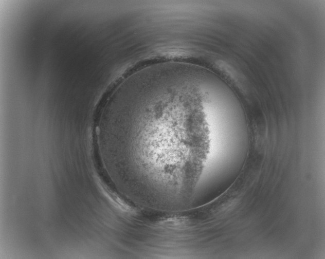 X0000068850447200605121413