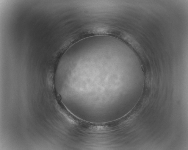 X0000068850449200605121413