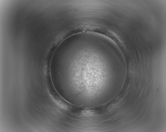 X0000068850451200605121413