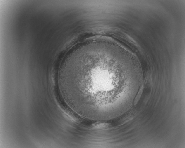 X0000068850452200605121413