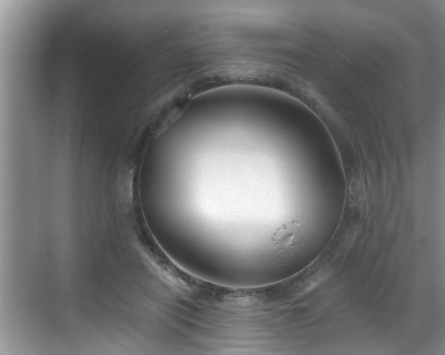 X0000068850454200605121413