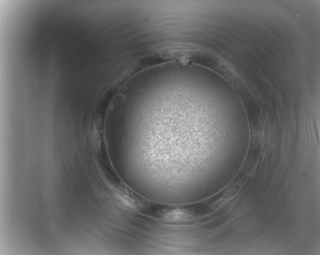 X0000068850460200605121414