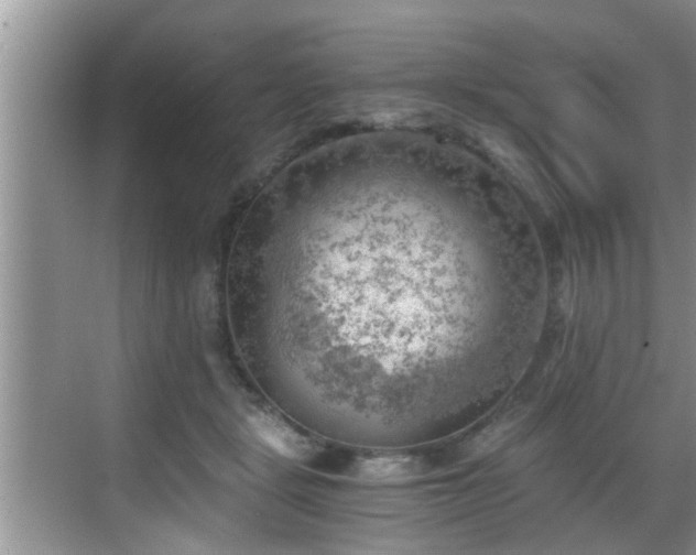 X0000068850461200605121414