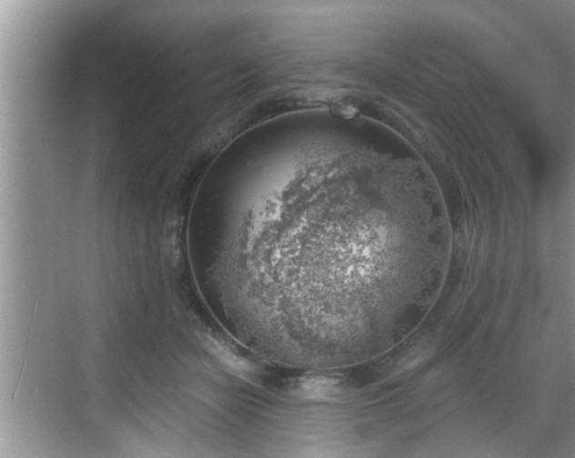 X0000068850462200605121414