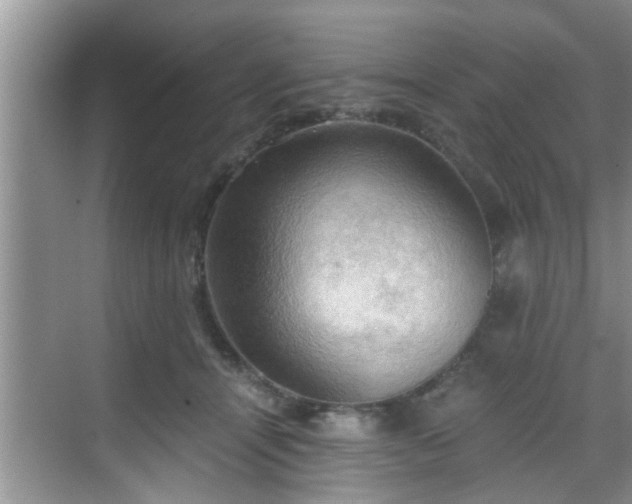 X0000068850464200605121414