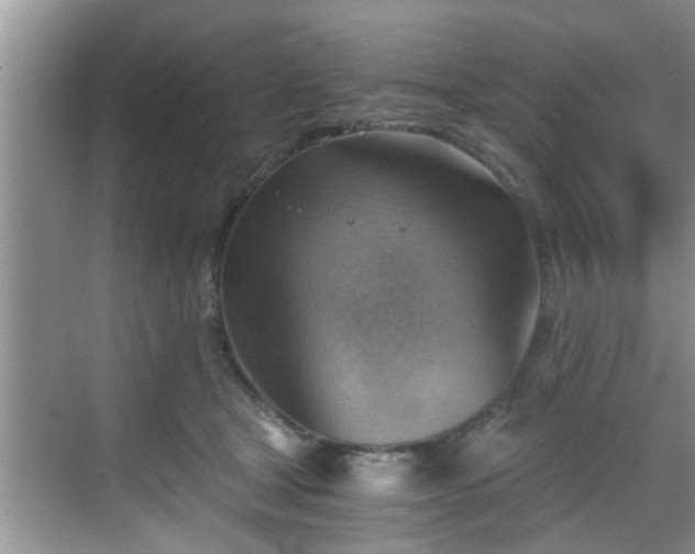 X0000068850465200605121414