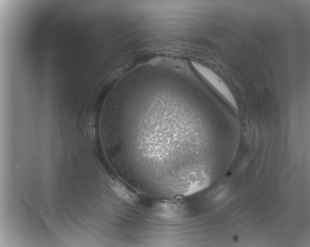 X0000068850466200605121414