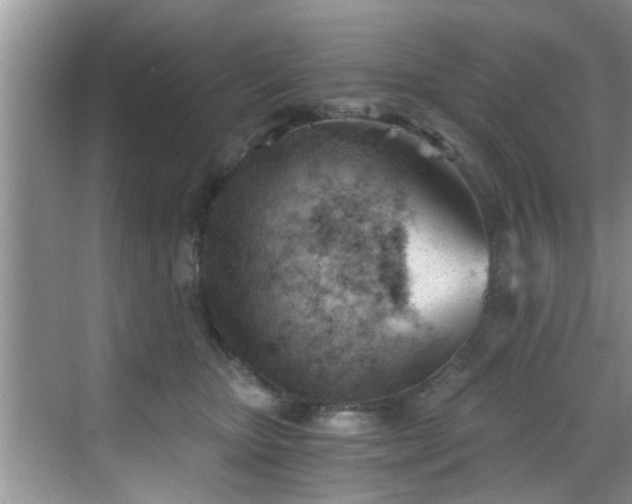 X0000068850467200605121414