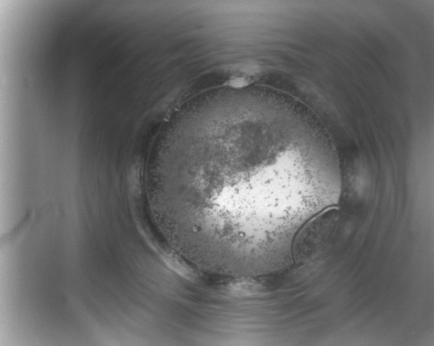 X0000068850468200605121414