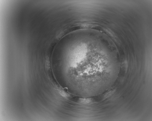 X0000068850469200605121414