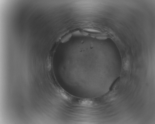 X0000068850471200605121414