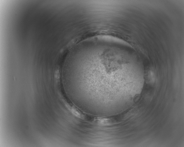 X0000068850472200605121414