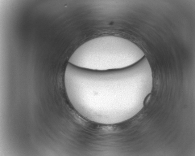 X0000068850473200605121414