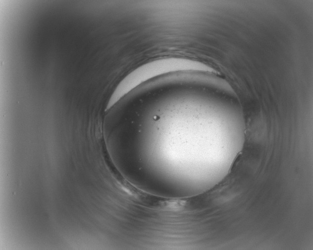 X0000068850474200605121414