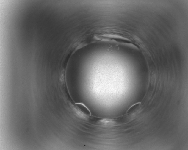 X0000068850477200605121414