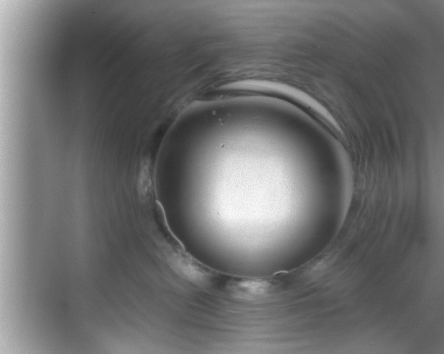 X0000068850478200605121414