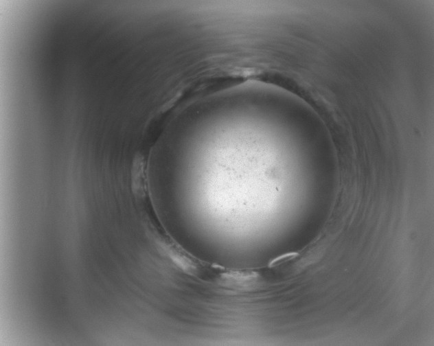 X0000068850480200605121414