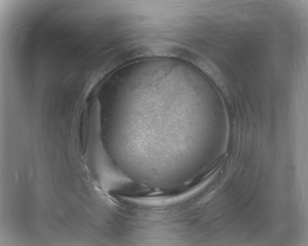 X0000068850481200605121413