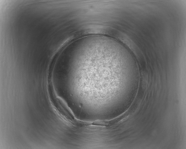 X0000068850482200605121413