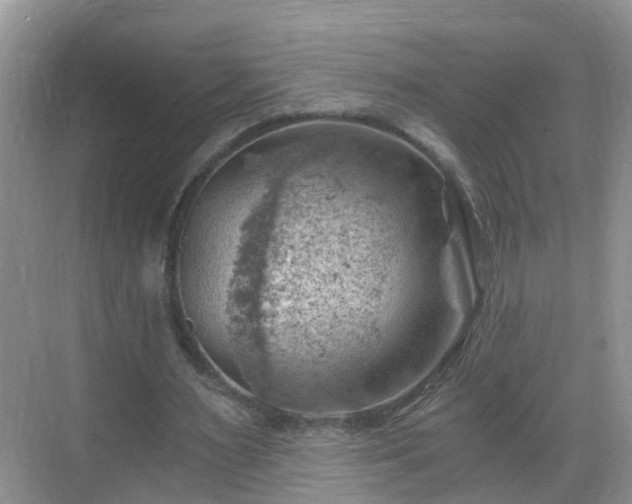 X0000068850483200605121413