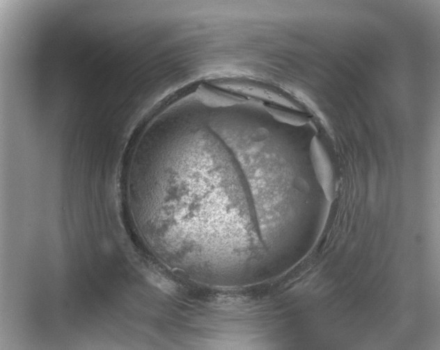 X0000068850487200605121413