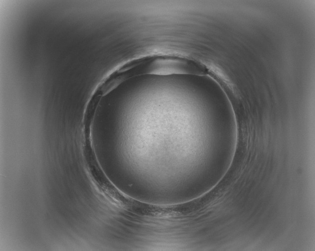 X0000068850488200605121413