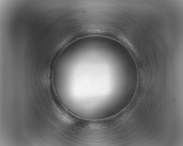 X0000068850490200605121413