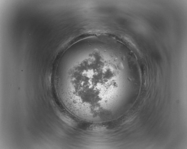 X0000068850491200605121413