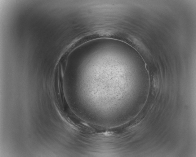 X0000068850492200605121413