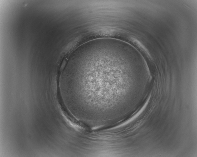 X0000068850493200605121413