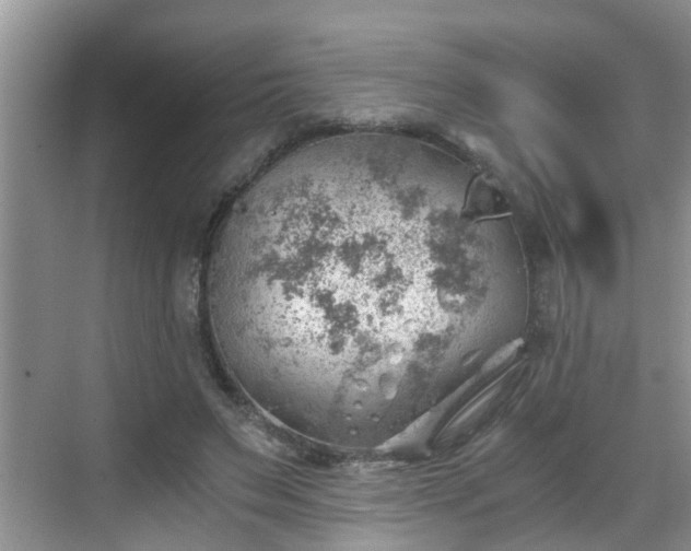 X0000068850495200605121413