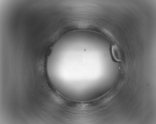 X0000068850497200605121413