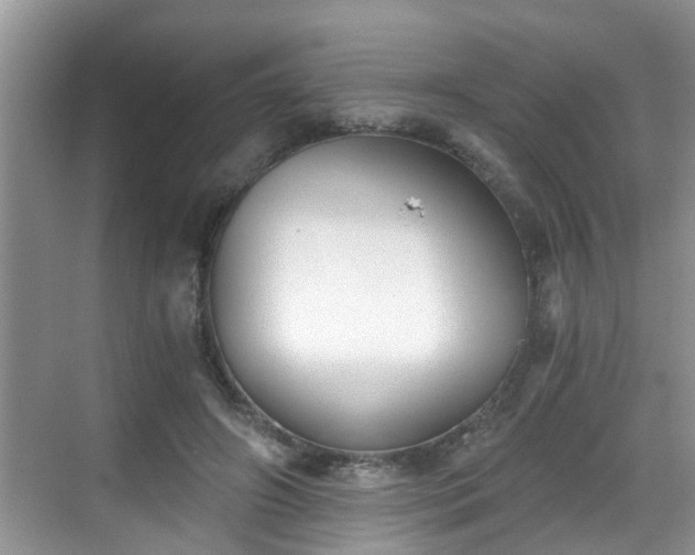 X0000068850498200605121413