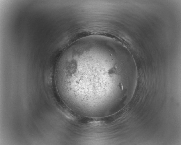 X0000068850499200605121413