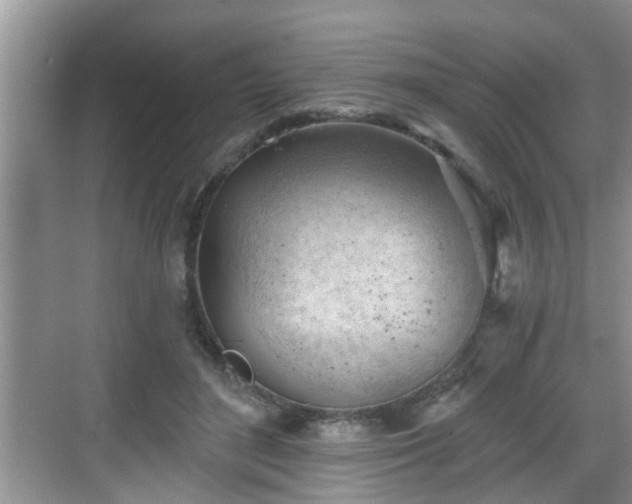 X0000068850500200605121413